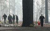 [ẢNH] 44 người chết, cháy rừng ở California chưa bao giờ kinh hoàng đến thế